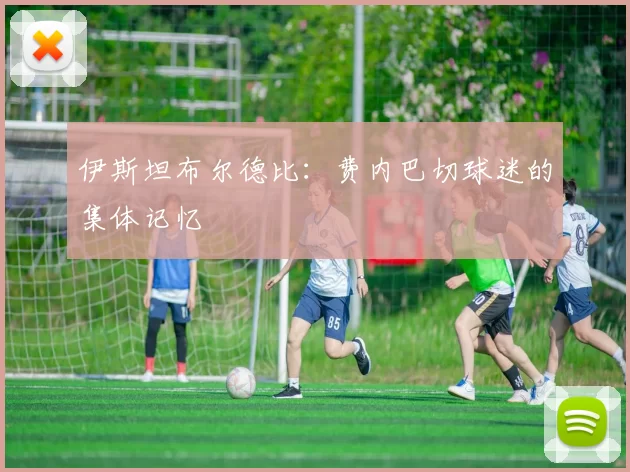 伊斯坦布尔德比：费内巴切球迷的集体记忆