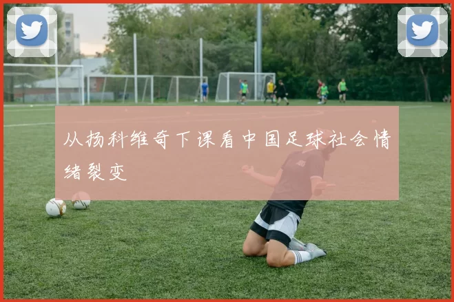 从扬科维奇下课看中国足球社会情绪裂变