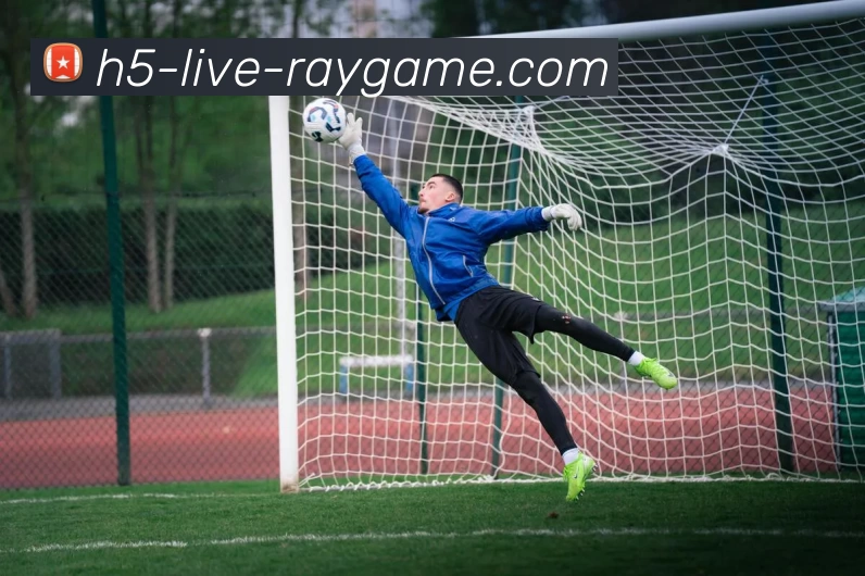 雷竞技平台生态图